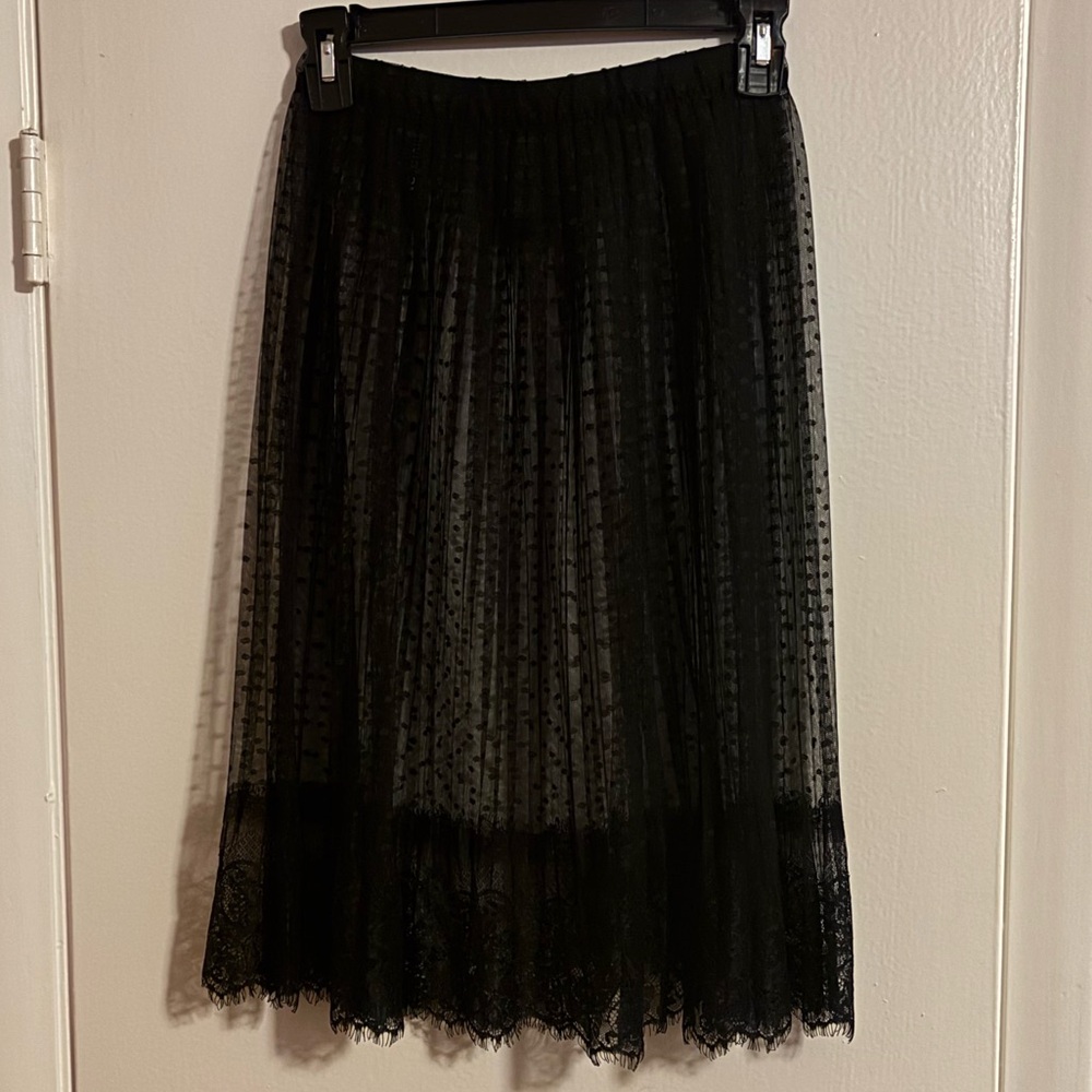 Black Sheer Pleated Skirt